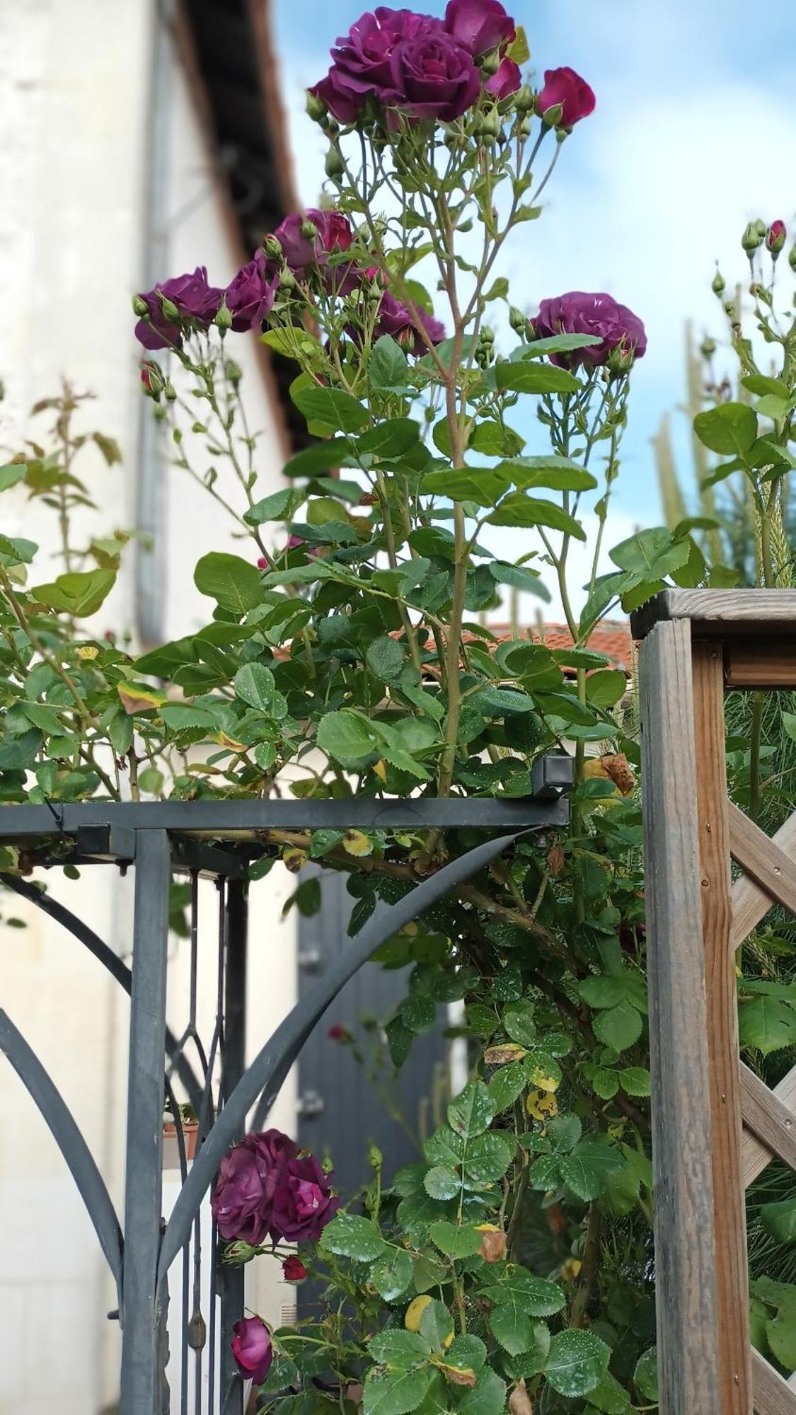 Le Clos Des Passiflores Понс Екстериор снимка