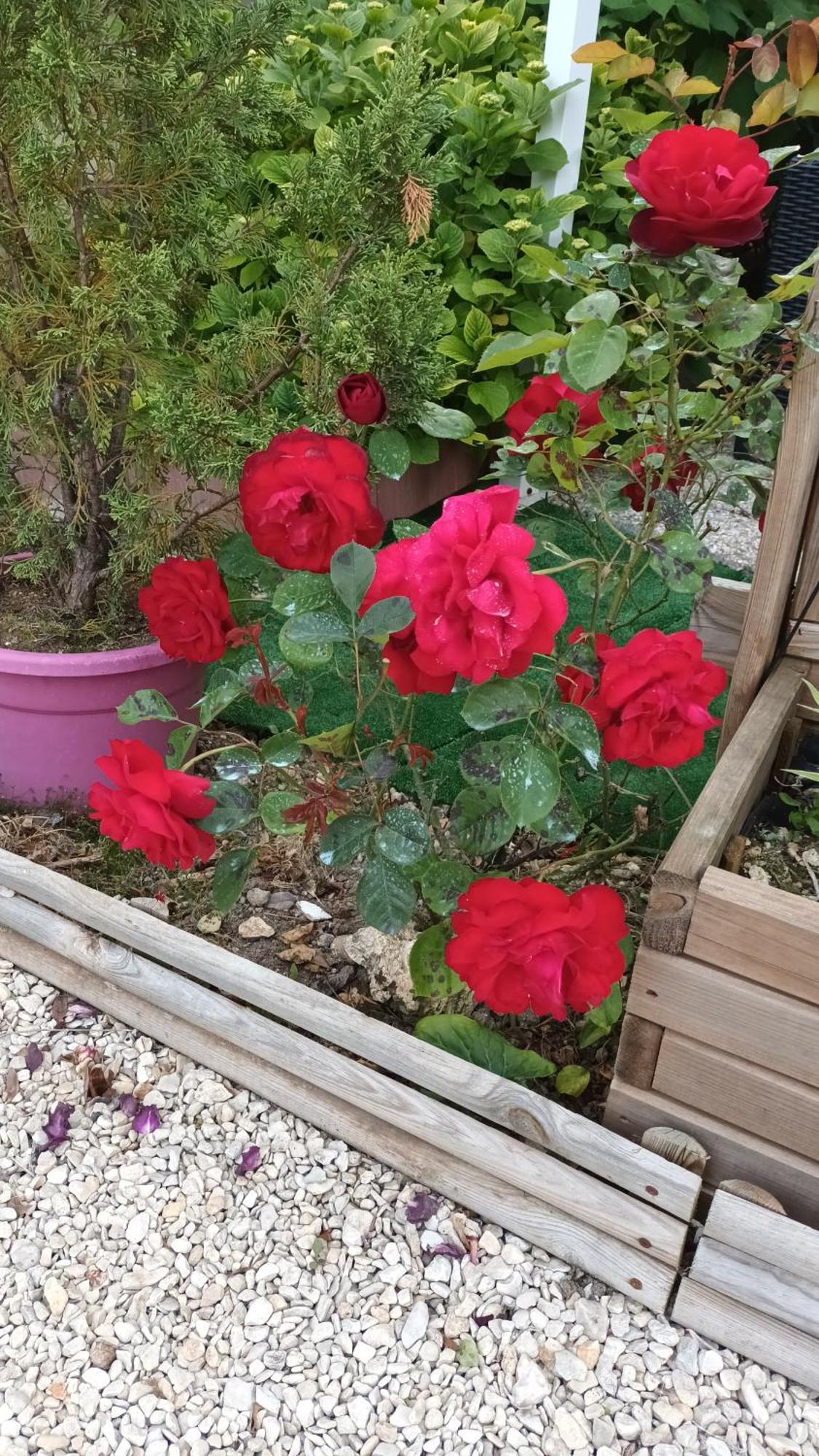 Le Clos Des Passiflores Понс Екстериор снимка